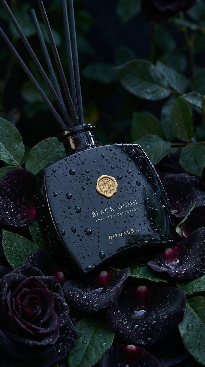 Ultra-realistic luxury product photography of a black glass reed diffuser bottle labeled “BLACK OUD…
