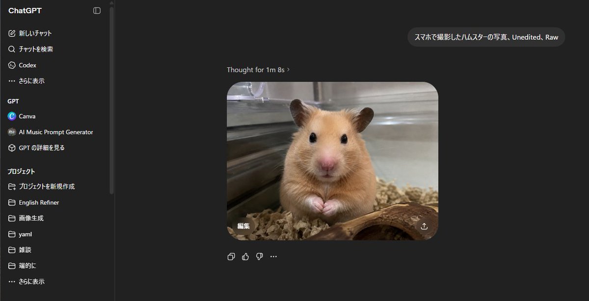 ChatGPT Hamster Image Screenshot