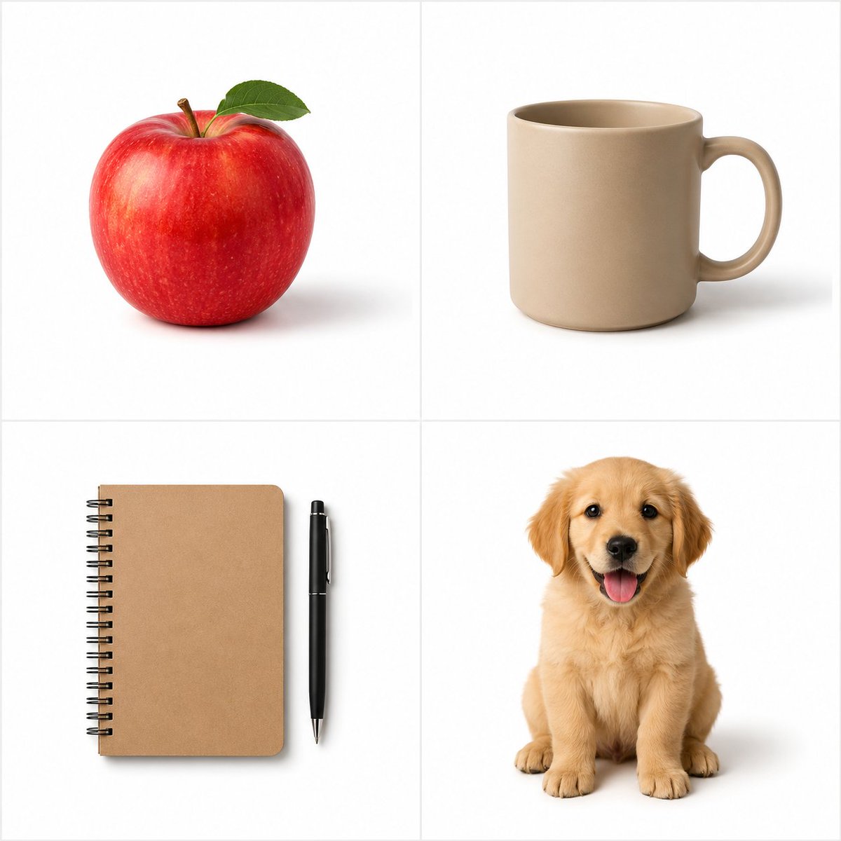 Minimalist Studio Object Photography