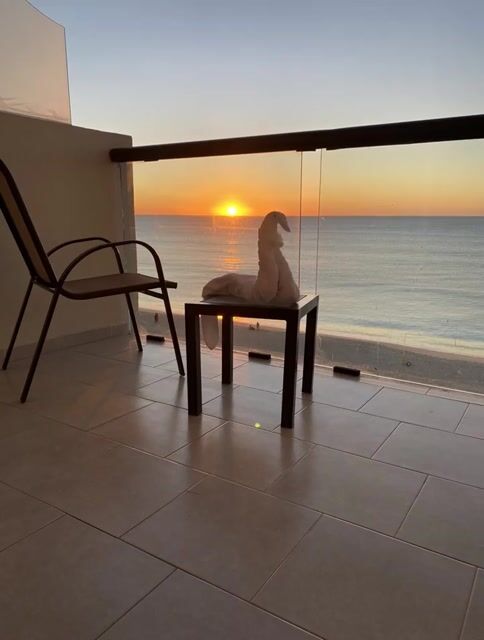 Towel swan transforms into real swan at sunset