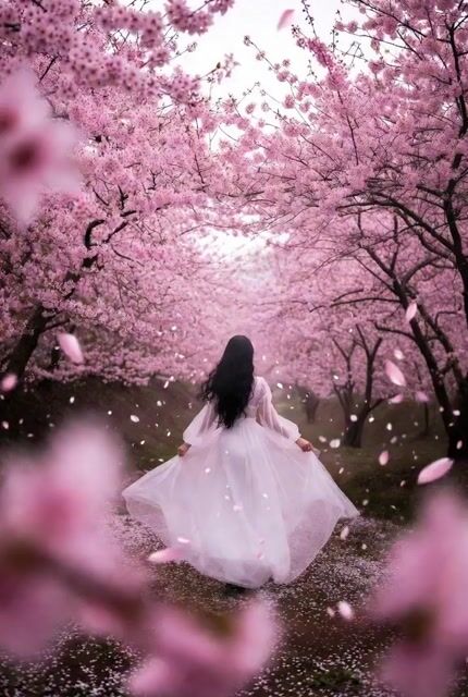 Dreamlike Cherry Blossom Valley