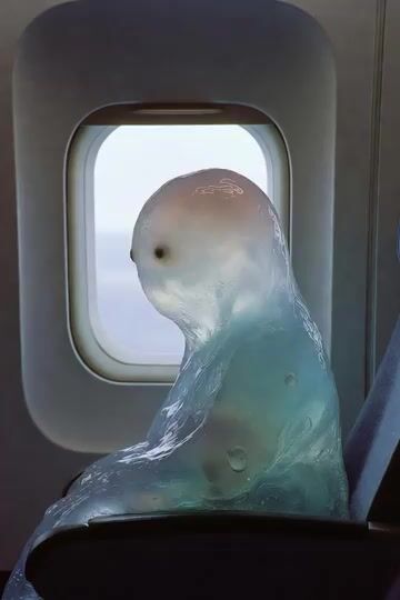 Blob Sucked Out Airplane