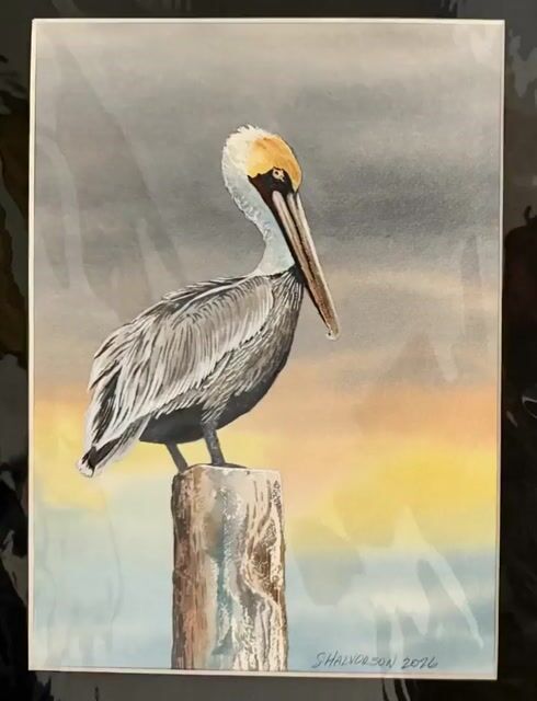 Animated Pelican Watercolor Painting