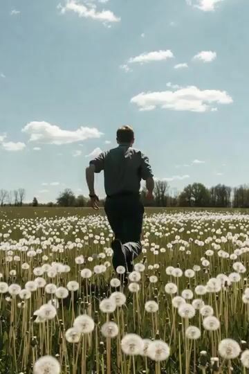 Dandelion Field Romantic Meeting