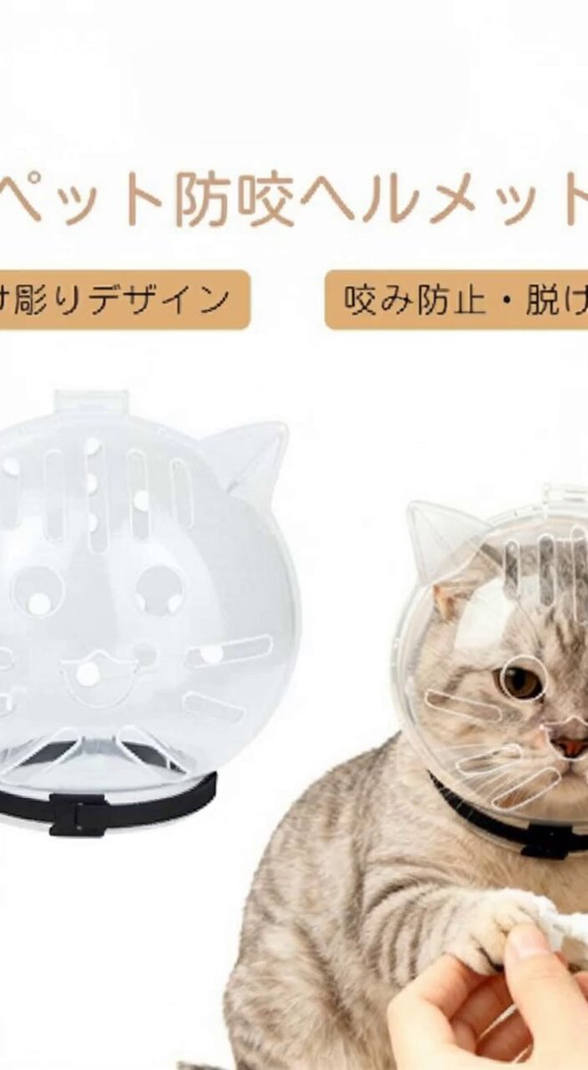 Video Prompt for Cat Muzzle Application
