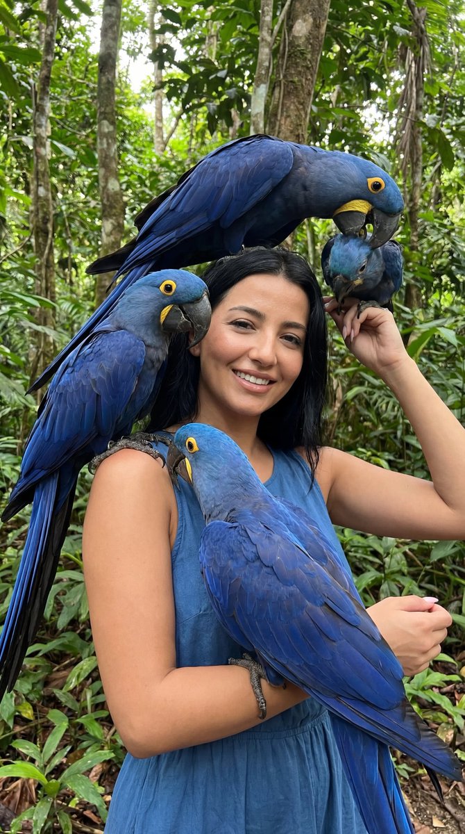 Exotic Wildlife Fashion Editorial Prompt (Blue Macaws)