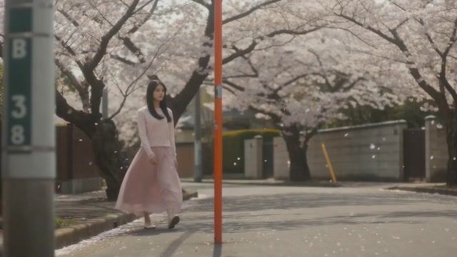 Cinematic Spring Scene: Japanese Student in Cherry Blossoms