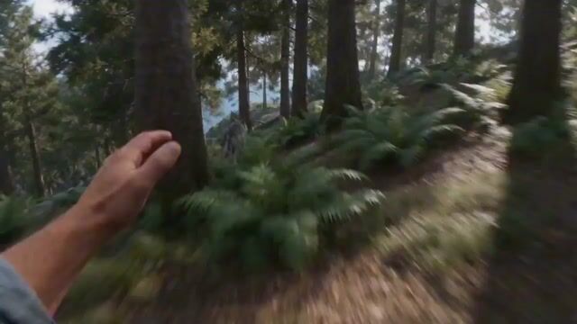 First-person FPV Chase and Rescue by Cat Pirates