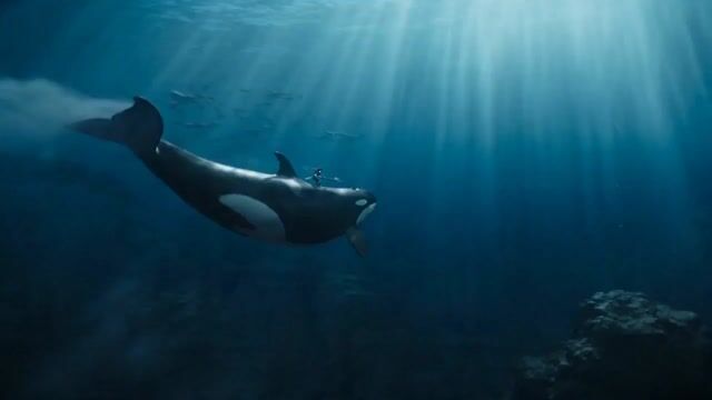 Aquatic Warrior Orca Ride