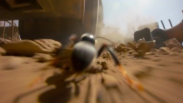 Micro-Scale Ant POV Construction Site