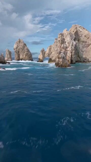 FPV Drone Humpback Whale Jump
