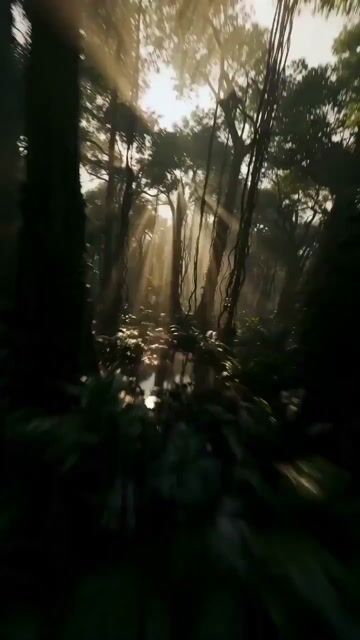 FPV Drone Shot through Tikal