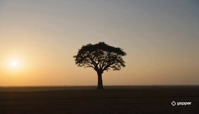 Ancient Tree Narrative Sequence