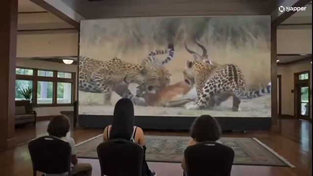 Magical Cinema Hall Deer Rescue