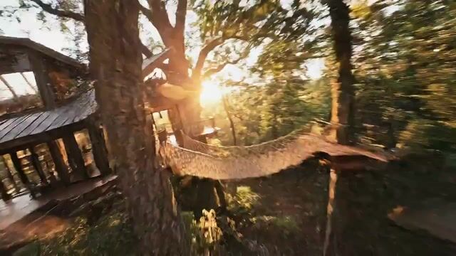 FPV Cinematic Flight Through a Hyper-Realistic Treehouse